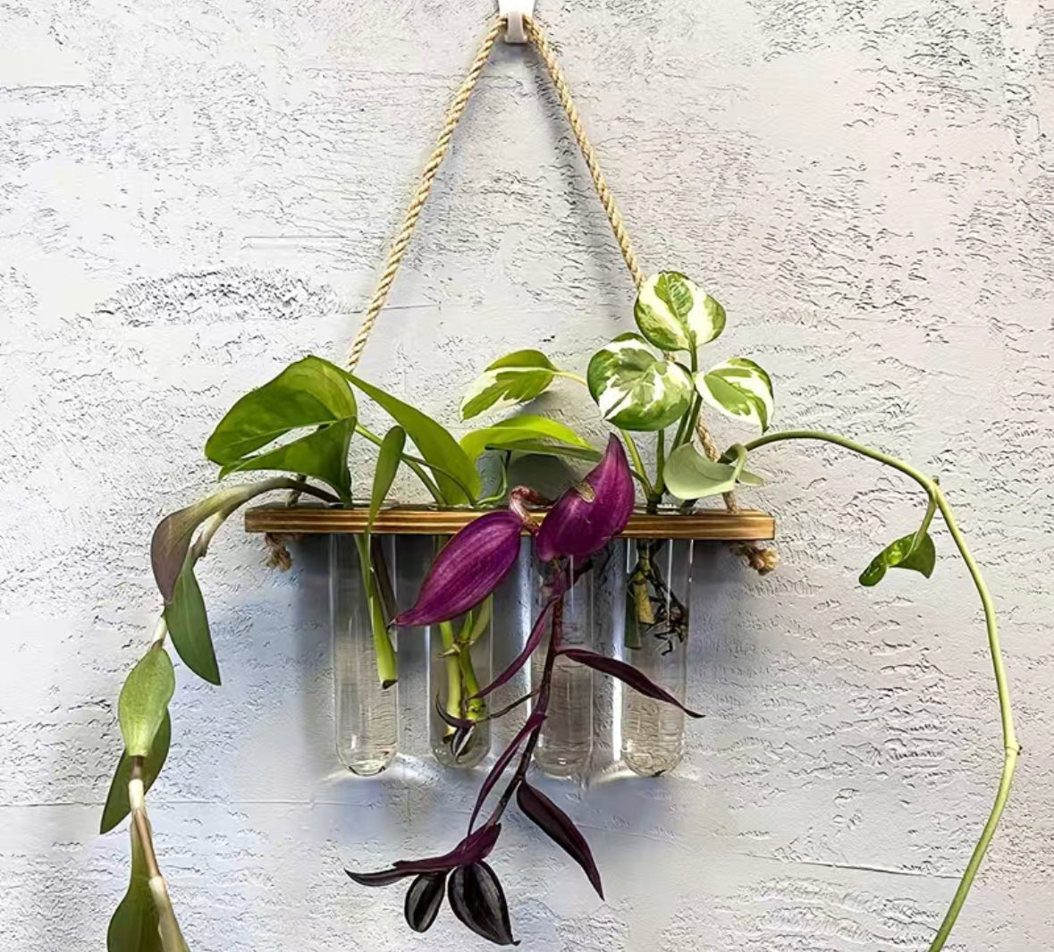 Hanging Propagation Station
