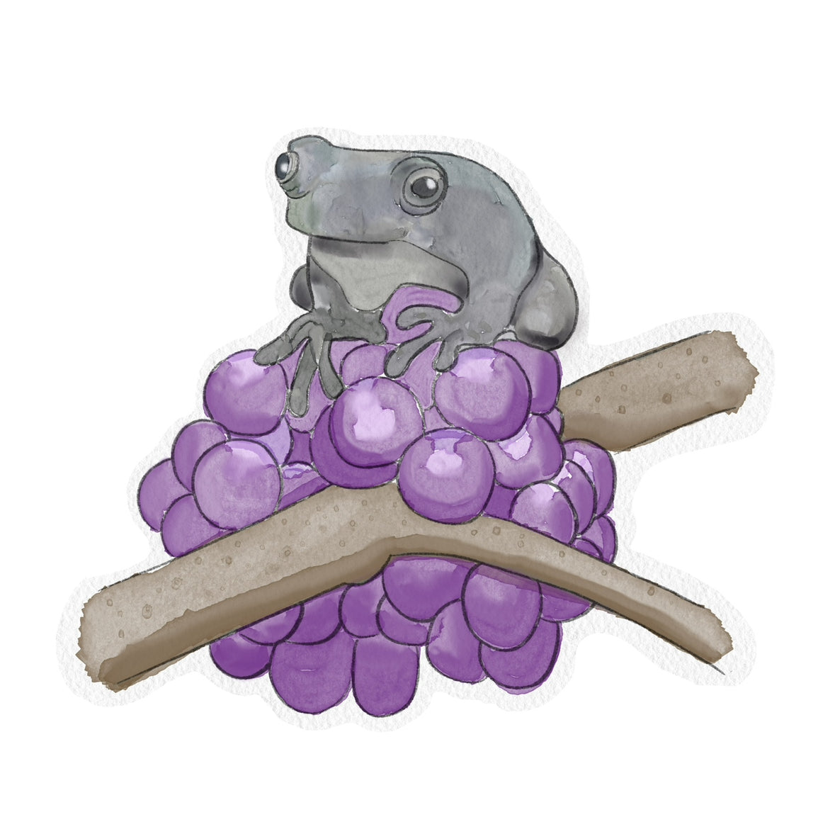 Beauty Berry & Tree Frog Enamel Pin