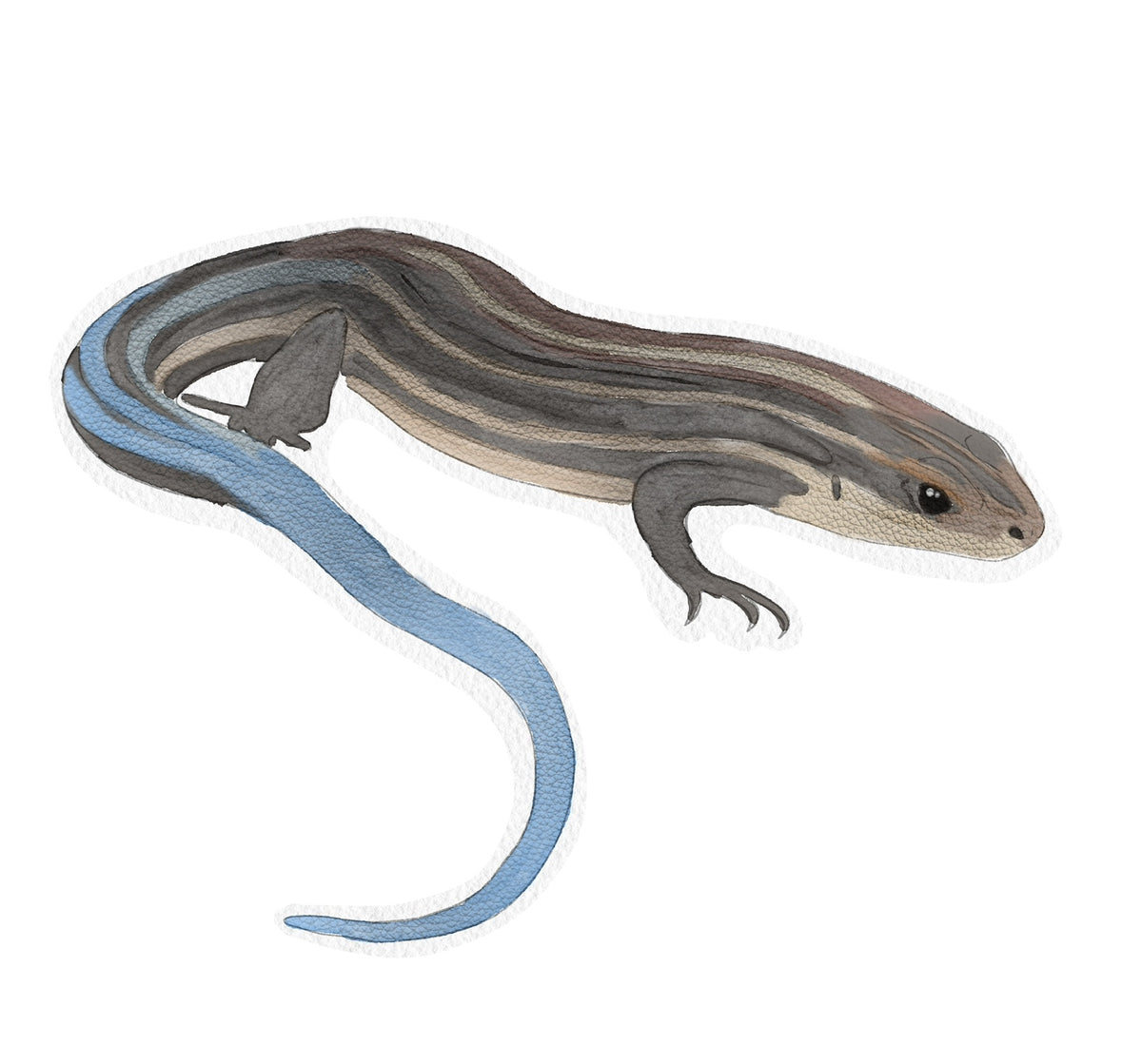Five Lined Skink Enamel Pin