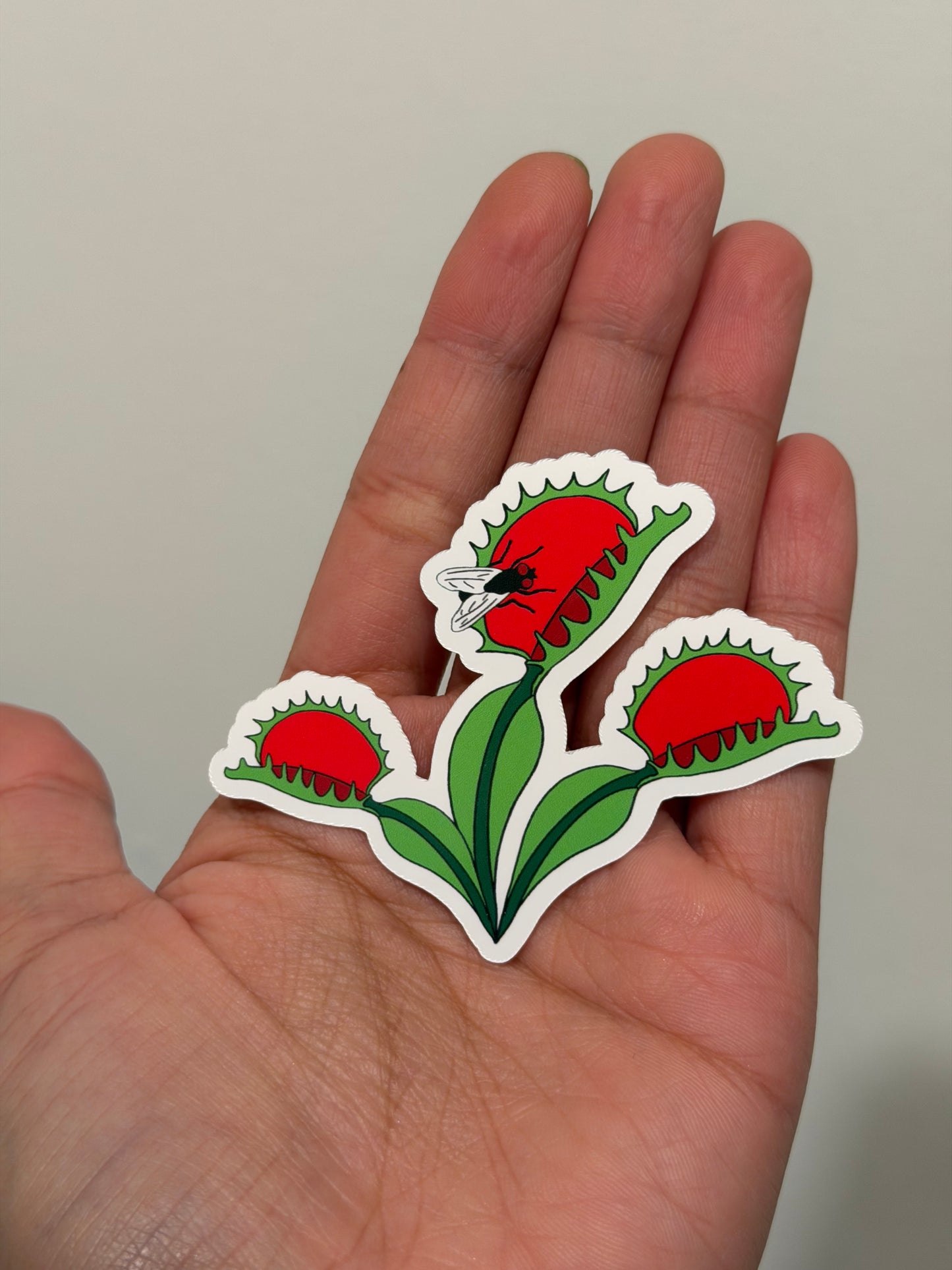 Venus Flytrap 3” Vinyl Sticker Original Art - North Carolina native plant
