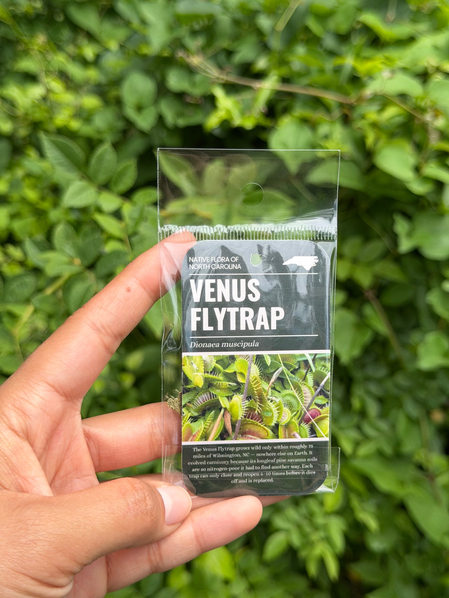 Venus Flytrap Enamel Keychain 2-inches - North Carolina native plant