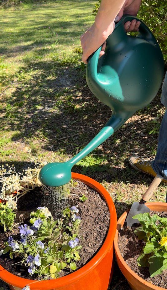 Iceberg WaterPro™ Watering Cans Review