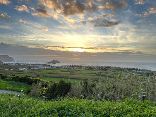 My Top 10 Favorite Ways to Immerse Yourself in Nature