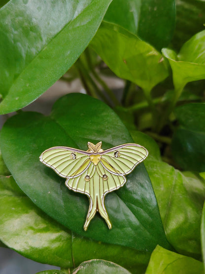 North American Luna Moth Enamel Pin (Pre-Order)