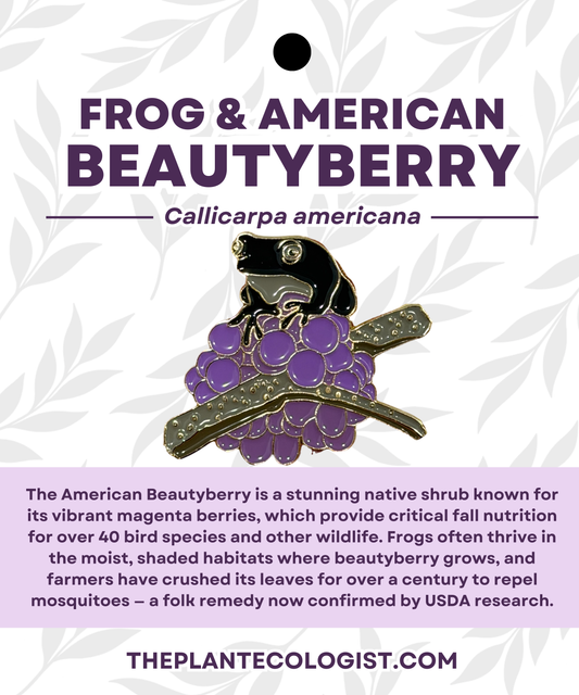 Beauty Berry & Tree Frog Enamel Pin