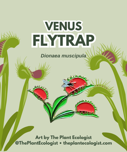 Venus Flytrap Enamel Pin - North Carolina native plant