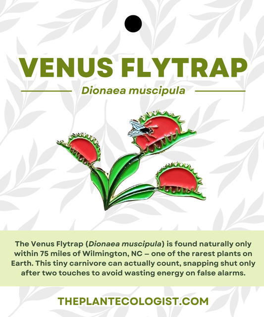 Venus Flytrap Enamel Pin