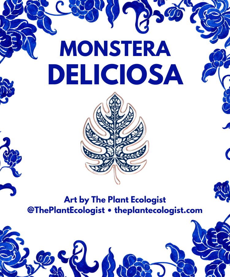 Fine Pottery Monstera Leaf Enamel Pin - Original Artwork by The Plant Ecologist, Made in the USA (1.25 inches)