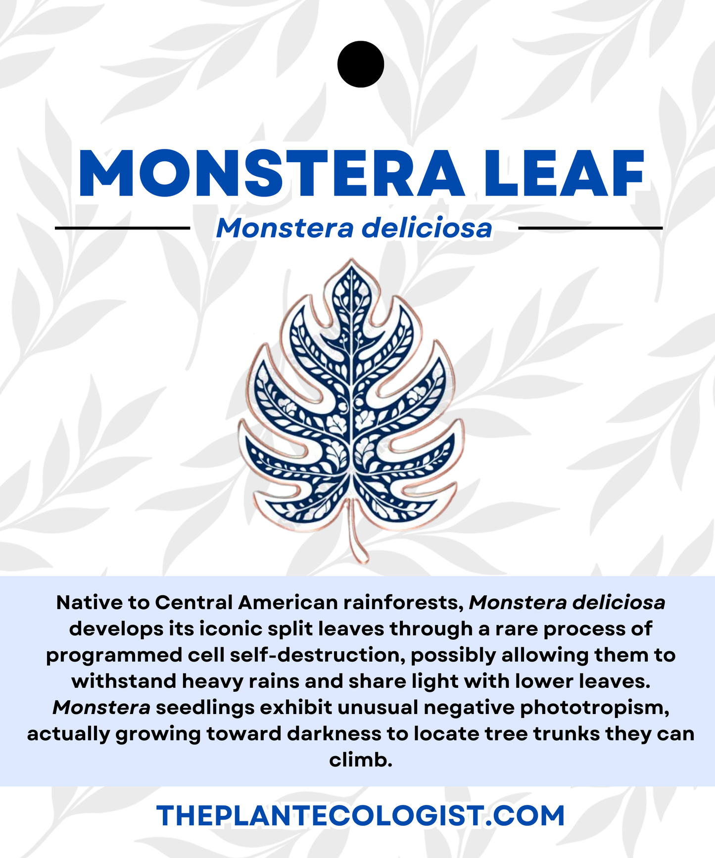 Fine Pottery Monstera Leaf Enamel Pin - Original Artwork by The Plant Ecologist, Made in the USA (1.25 inches)