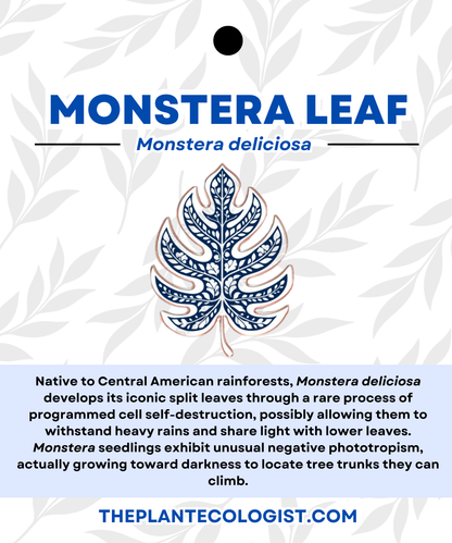 Fine Pottery Monstera Leaf Enamel Pin - Original Artwork by The Plant Ecologist, Made in the USA (1.25 inches)