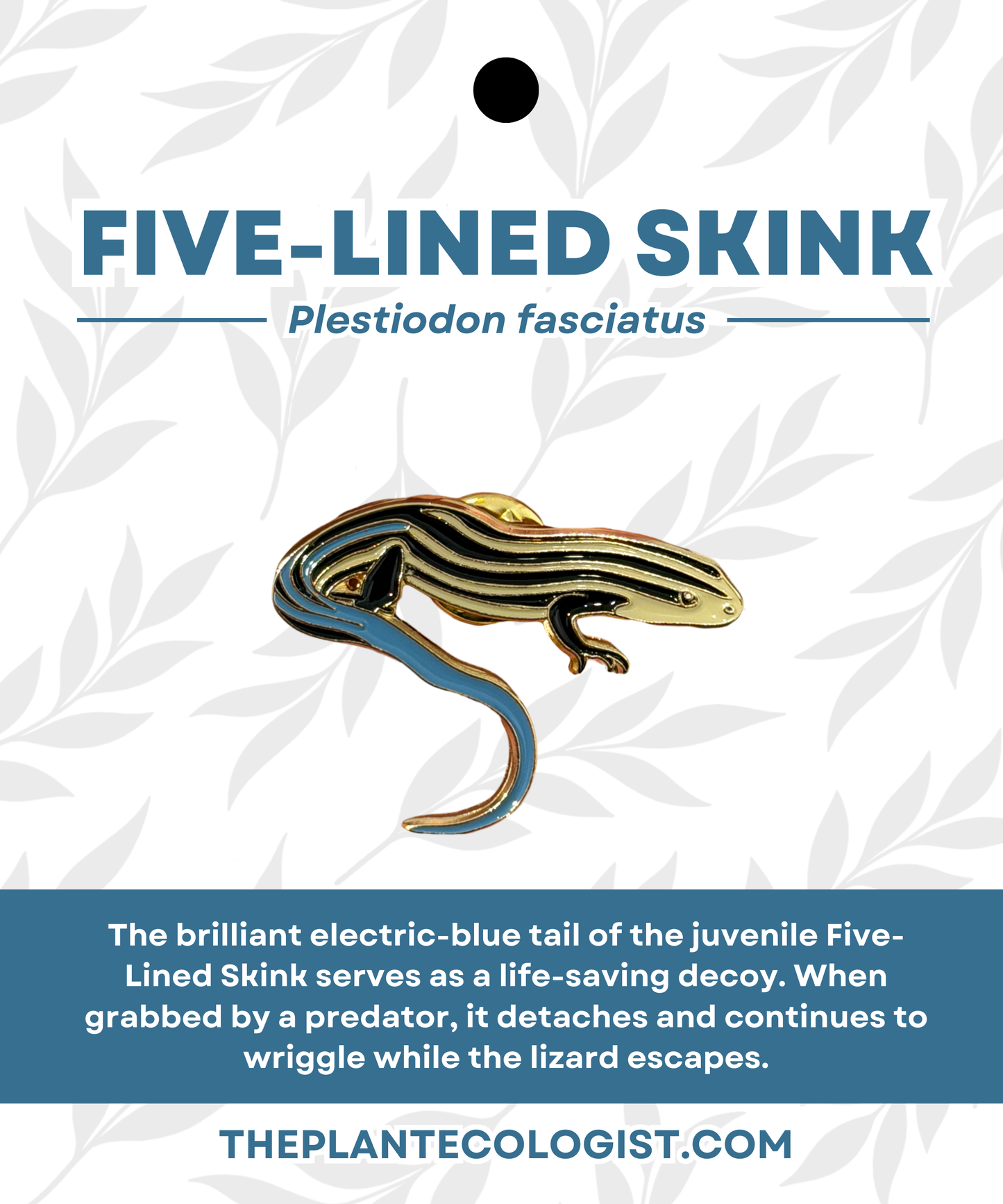 Five Lined Skink Enamel Pin