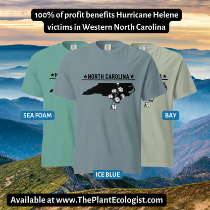 Carolina Cotton Design - Hurricane Helene Relief Fund - Comfort Colors Unisex garment-dyed heavyweight t-shirt