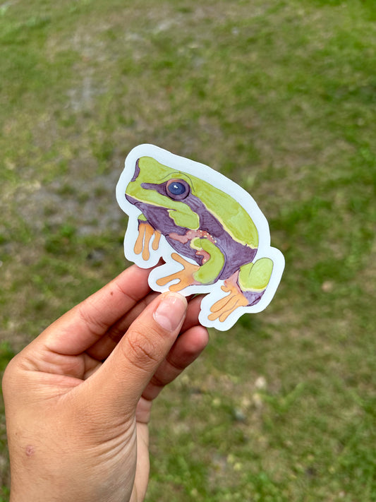 Pine Barrens Tree Frog Watercolor 3” Vinyl Sticker Original Art