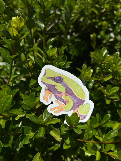 Pine Barrens Tree Frog Watercolor 3” Vinyl Sticker Original Art