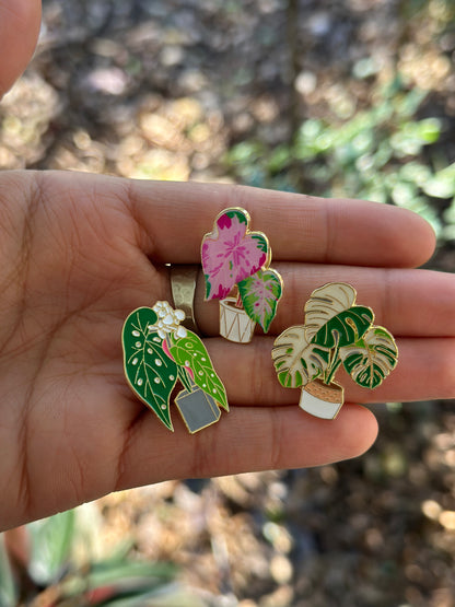 Varigated Monstera deliciosa Enamel Pin