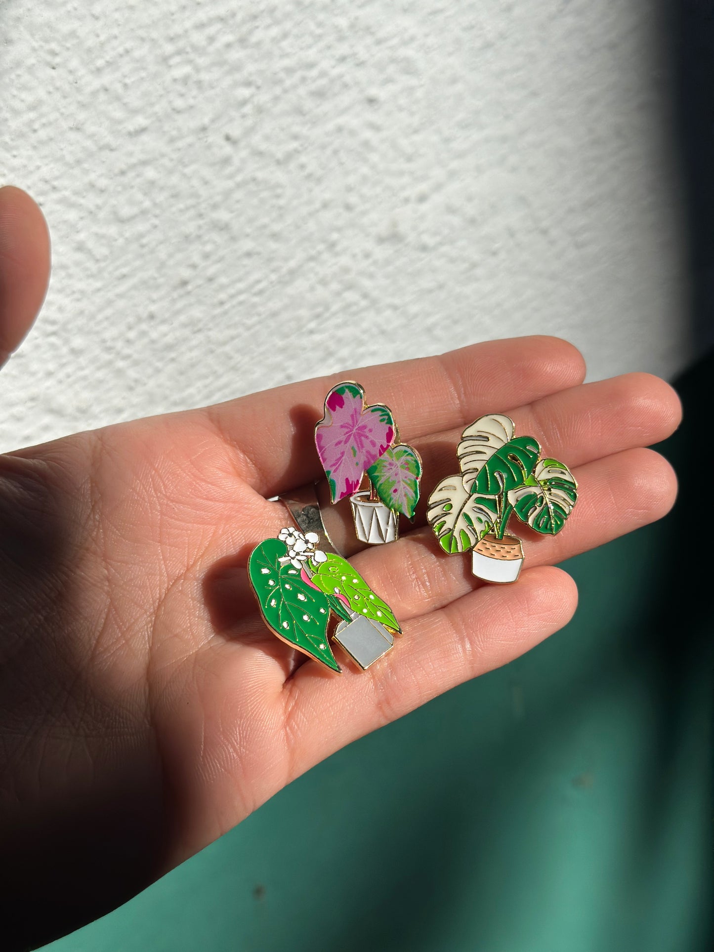 Varigated Monstera deliciosa Enamel Pin
