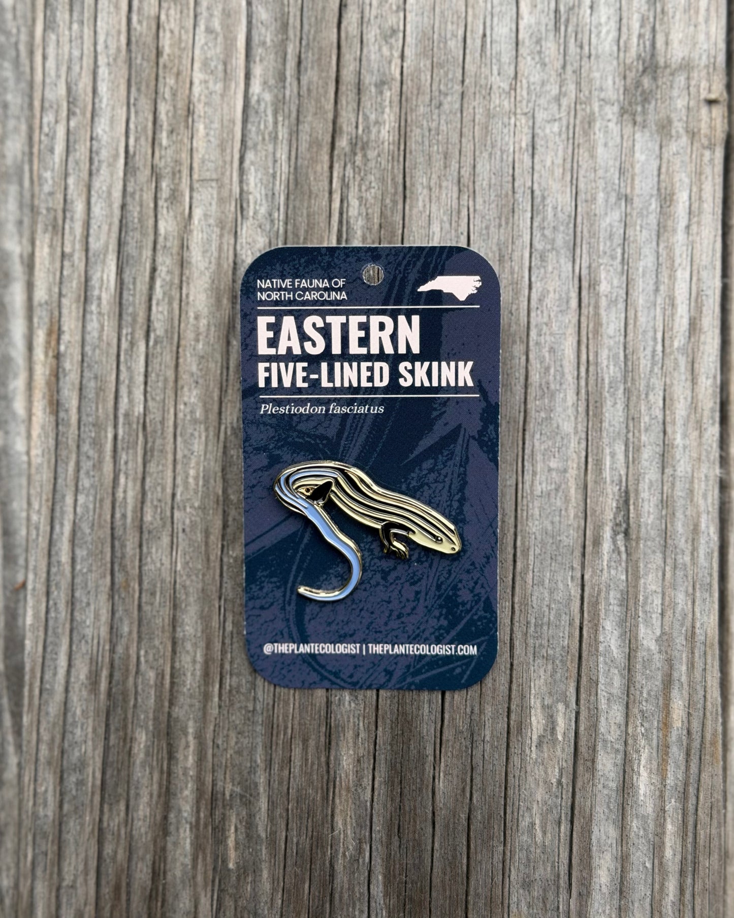 Five Lined Skink Enamel Pin  - North Carolina native