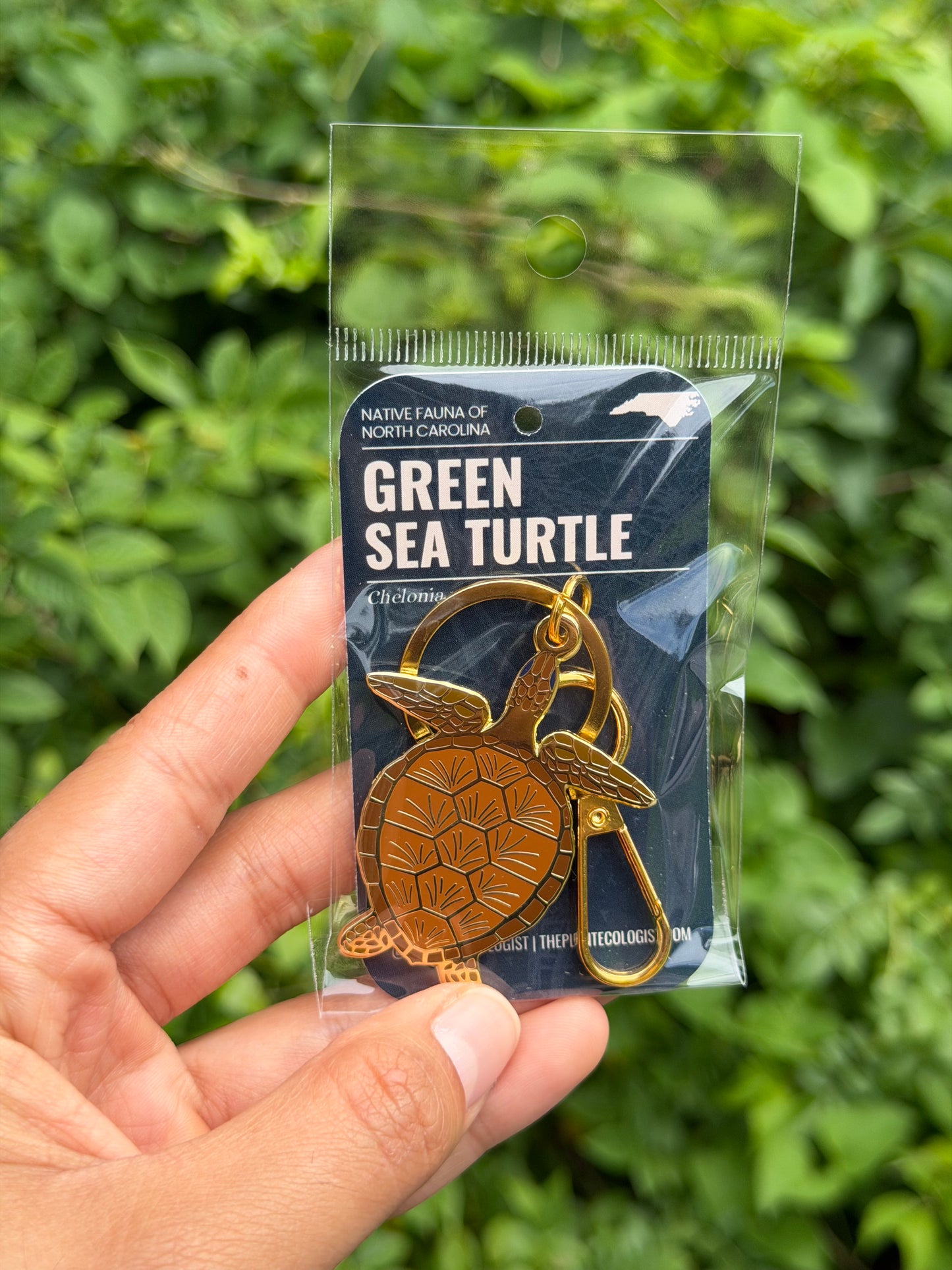 Green Sea Turtle Enamel Keychain 2-inches - North Carolina Native